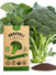 Broccoli Waltham 29 Seeds