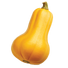 Butternut Squash - 4G
