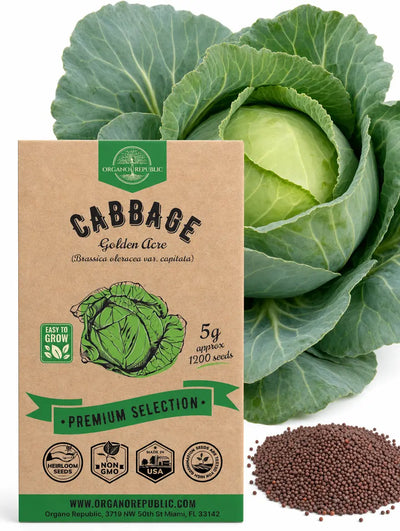 Golden Acre Cabbage Seeds – Non-GMO Heirloom