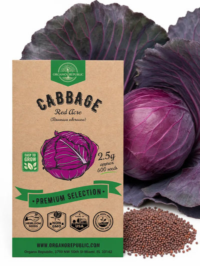 Red Acre Cabbage Seeds – Non-GMO Heirloom