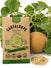 Cantaloupe Imperial 45 Seeds