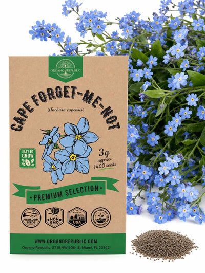 Forget-Me-Not Seeds (Cape) – Non-GMO Heirloom