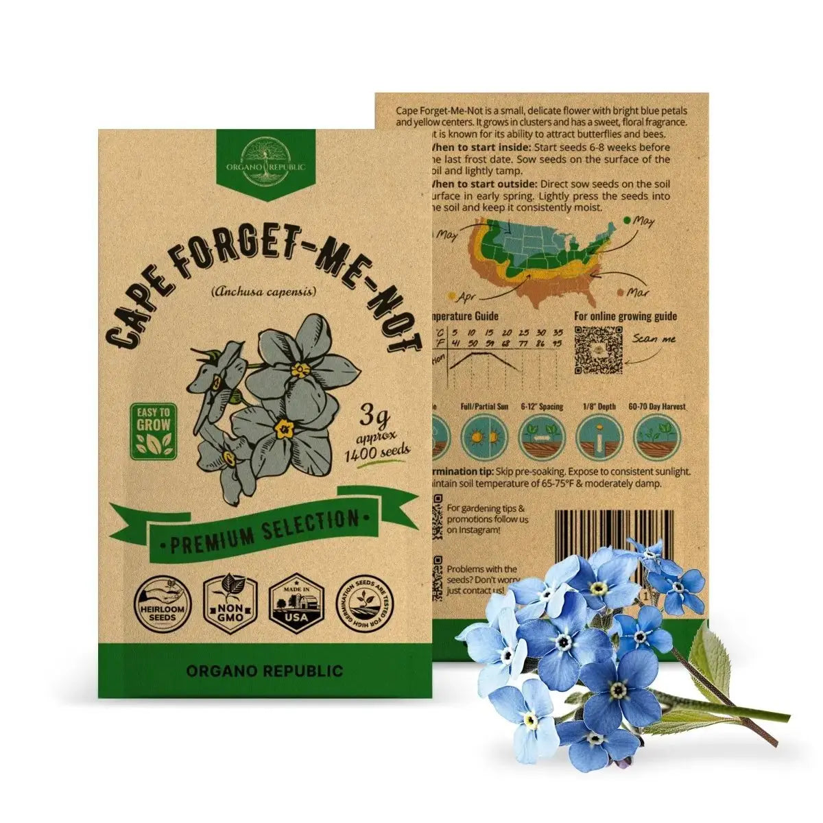 Cape Forget-Me-Not Seeds Pack 3G - Organo Republic seeds store Cape Forget-Me-Not Seeds Pack 3G