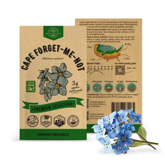 Cape Forget-Me-Not Seeds Pack 3G - Organo Republic seeds store Cape Forget-Me-Not Seeds Pack 3G