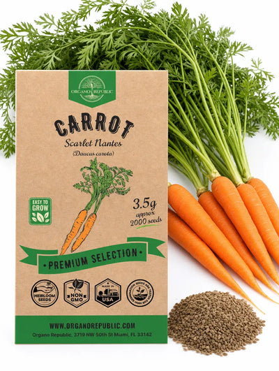Scarlet Nantes Carrot Seeds – Non-GMO Heirloom