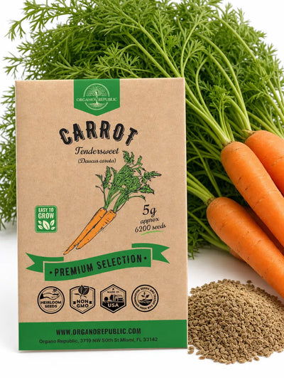 Tendersweet Carrot Seeds – Non-GMO Heirloom