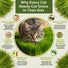 Cat Grass Seeds Mix Organo Republic