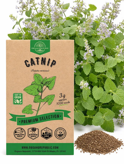 Catnip Seeds – Non-GMO Heirloom