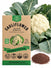 Cauliflower Snowball Y Improved Seeds - Organo Republic