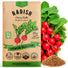 Cherry Belle Radish Seeds Pack 10G