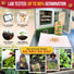 Cherry Belle Radish Seeds Pack 10G