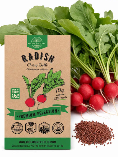 Cherry Belle Radish Seeds – Non-GMO Heirloom