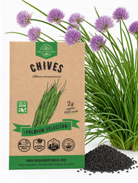 Chives Seeds