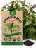 Cinnamon Basil Seeds - Organo Republic