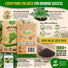 Collard Georgia Southern Seeds Pack 5G