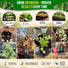 Collard Georgia Southern Seeds Pack 5G