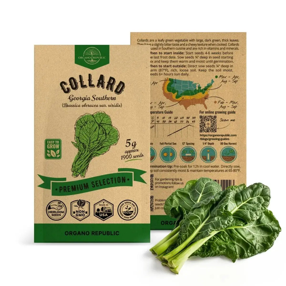 Collard Georgia Southern Seeds Pack 5G - Organo Republic seeds store Collard Georgia Southern Seeds Pack 5G