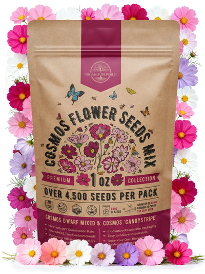 Cosmos Flower Seeds – Non-GMO Heirloom