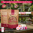 Cosmos Seeds Organo Republic