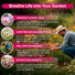 Cosmos Seeds Organo Republic