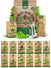 Culinary Herb Seeds Variety Pack Organo Republic