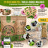 Culinary Herbs & Edible Flower Seeds Variety Pack Organo Republic