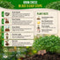 Curled Cress Seeds Pack 5G