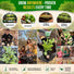 Dill Bouquet Seeds Pack 5G