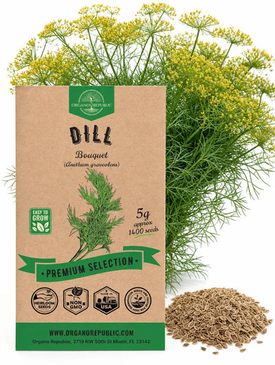 Bouquet Dill Seeds – Non-GMO Heirloom