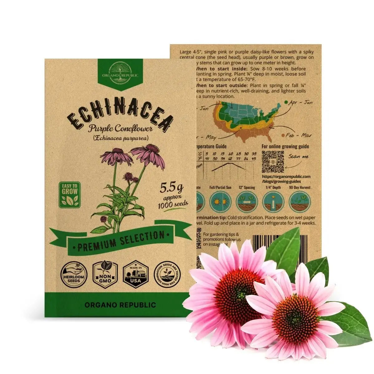 Echinacea Seeds Pack 5.5G - Organo Republic seeds store Echinacea Seeds Pack 5.5G