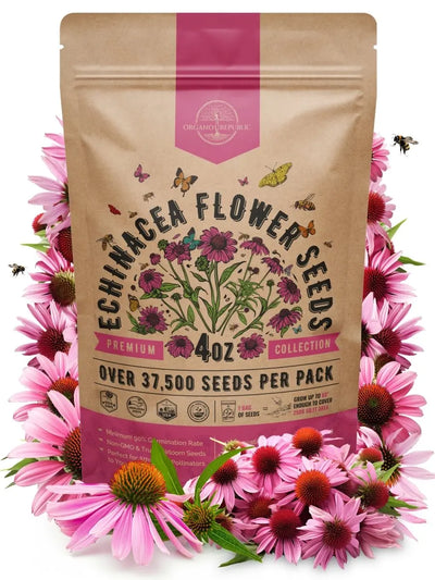 Purple Coneflower Seeds – Echinacea, Non-GMO Heirloom