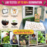 Echinacea Seeds Pack Organo Republic