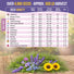Edible Flower Seeds Variety Pack Organo Republic