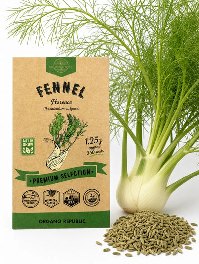Florence Fennel Seeds – Non-GMO Heirloom