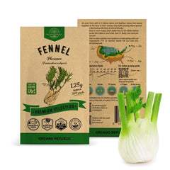 Fennel Florence Seeds Pack 1.25G - Organo Republic seeds store Fennel Florence Seeds Pack 1.25G