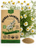 German Chamomile Seeds
