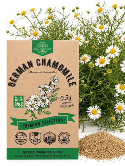 German Chamomile Seeds – Non-GMO Heirloom