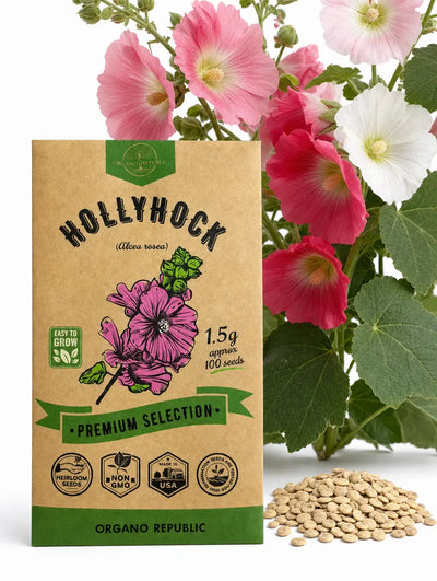 Hollyhock Seeds for Sale – Non-GMO Heirloom