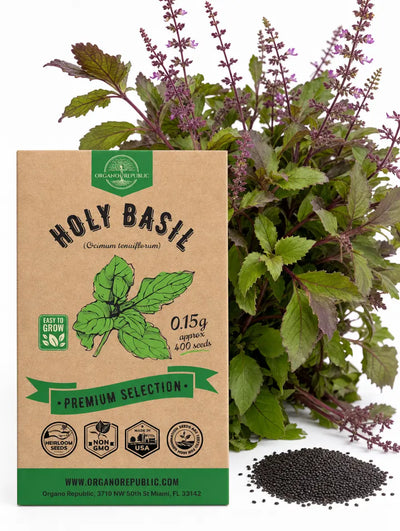 Holy Basil Seeds – Tulsi, Non-GMO Heirloom