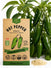 Hot Pepper Jalapeno Seeds