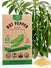 Hot Pepper Serrano Seeds - Organo Republic