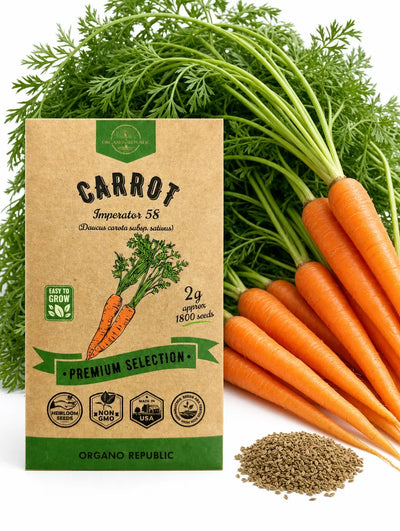 Imperator 58 Carrot Seeds – Non-GMO Heirloom