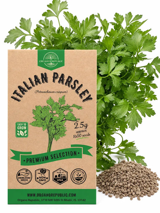 Italian Parsley Seeds