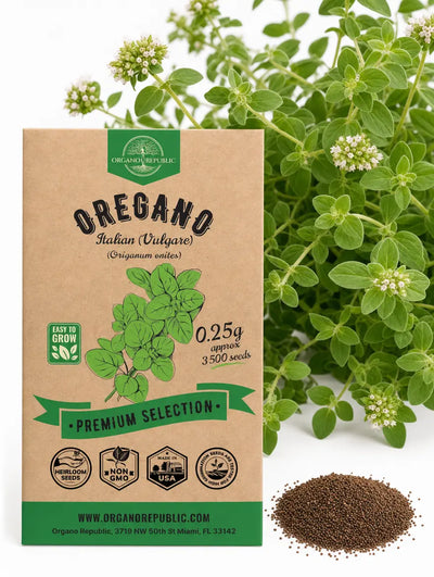 Italian Oregano Seeds – Non-GMO Heirloom