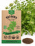 Italian Vulgare Oregano Seeds - Organo Republic