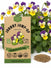Johnny Jump-Up Seeds