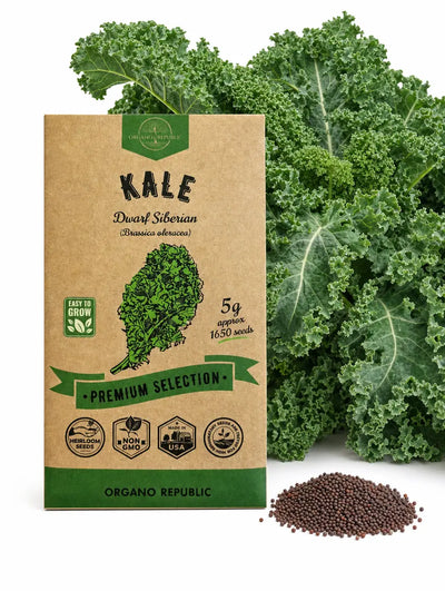 Siberian Kale Seeds – Dwarf, Non-GMO Heirloom