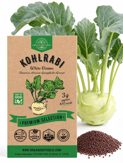 White Vienna Kohlrabi Seeds – Non-GMO Heirloom