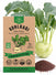 Kohlrabi White Vienna Seeds - Organo Republic