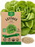 Lettuce Bibb Seeds - Organo Republic